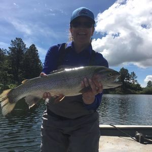 Meet your Posher, Holly